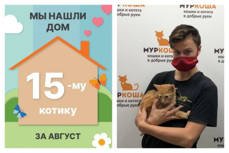 Лавашик стал домашним за два месяца!