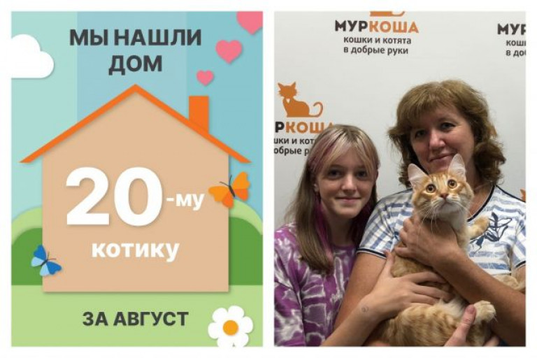 Котик Вилсон отправляется в домашнюю жизнь!