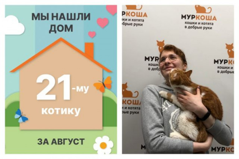 Сэр Ватсон стал домашним любимцем!