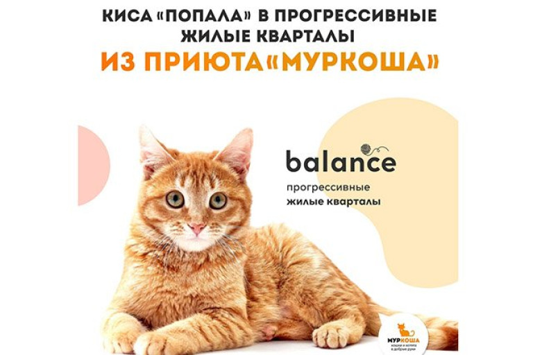 Наша Конопушка рекламирует проект "Balance"
