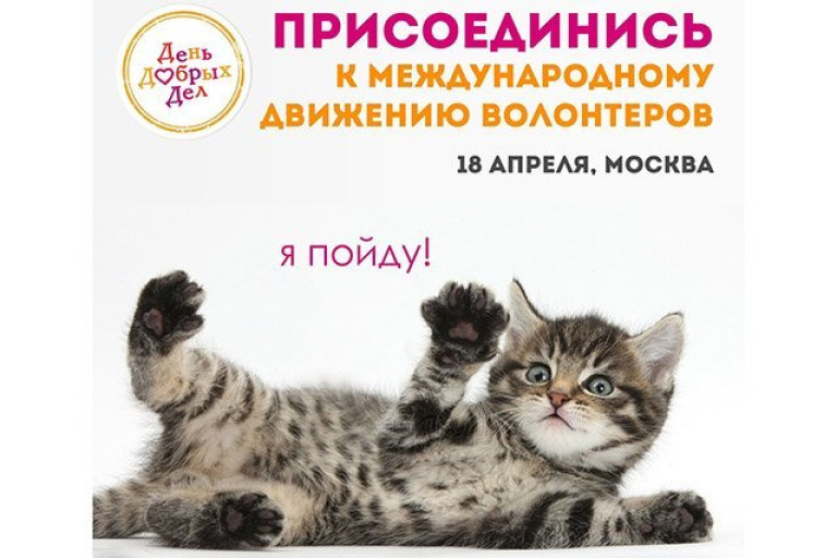 День добрых дел!