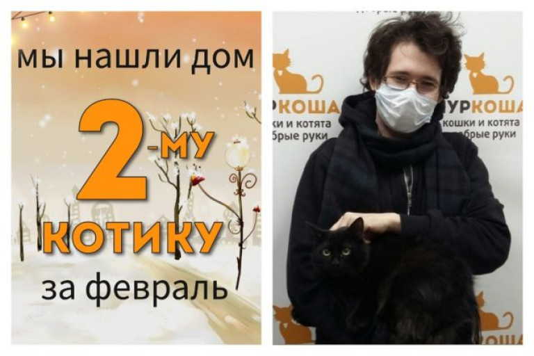 Котик Даниэль встретил надёжного друга!