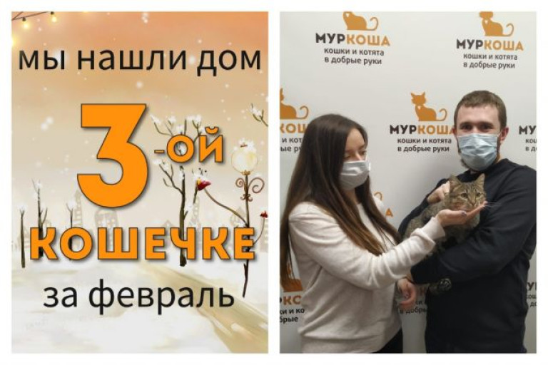 Кошечка Маник стала домашней и счастливой!