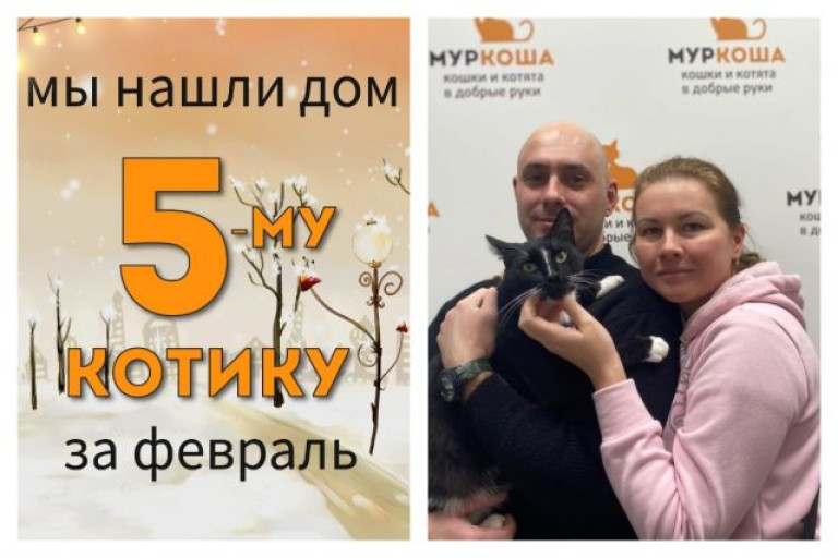 Общительный котик Олег отправился домой!