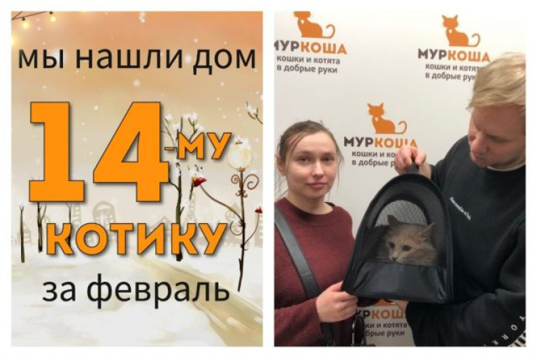 У котика Ларсика появилась заботливая семья!