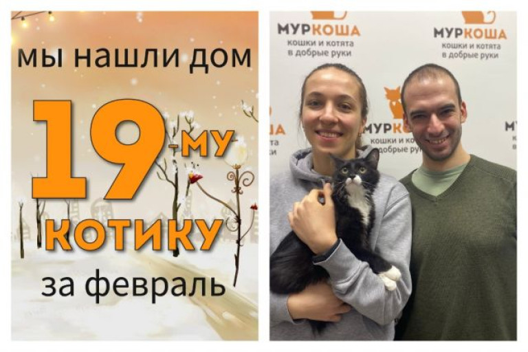 Смелый Крутыш встретил надежных хозяев!