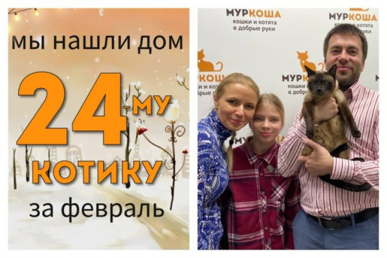 Котик Бальтазар стал частью прекрасной семьи!