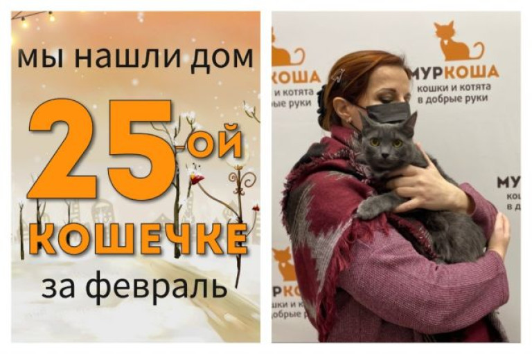 Кошечка Реми стала домашней любимицей!