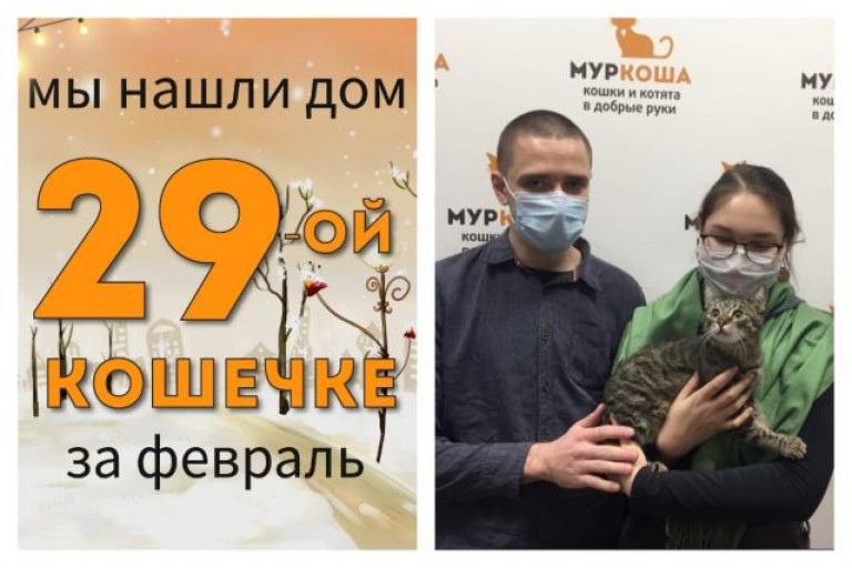 Крошка Тычинка стала домашней кошечкой!
