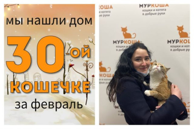 Двухлетняя кошечка Зёрнышко отправилась домой!