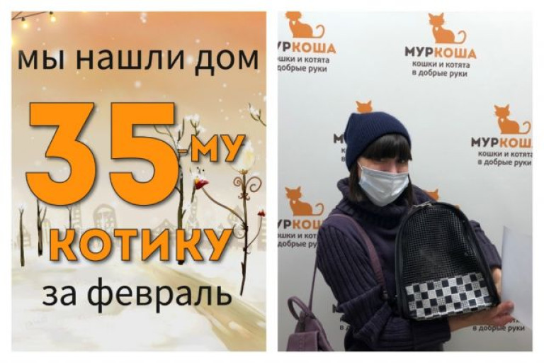 Десятилетний Риттер нашёл дом за один месяц!