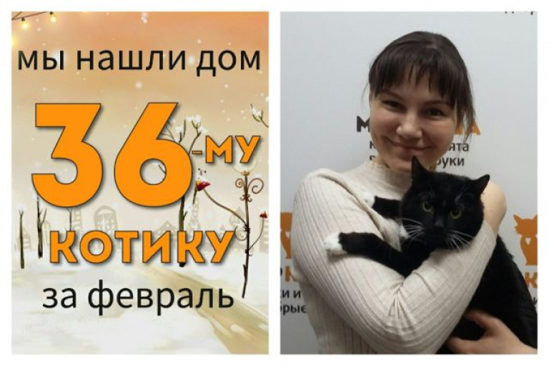 Уличный котик Мару обрел домашнее счастье!