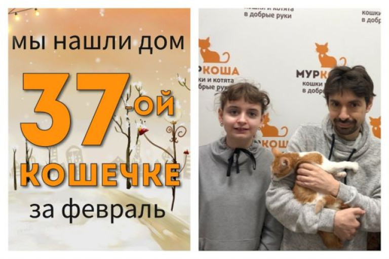 Кошечка Зефира начинает домашнюю жизнь!