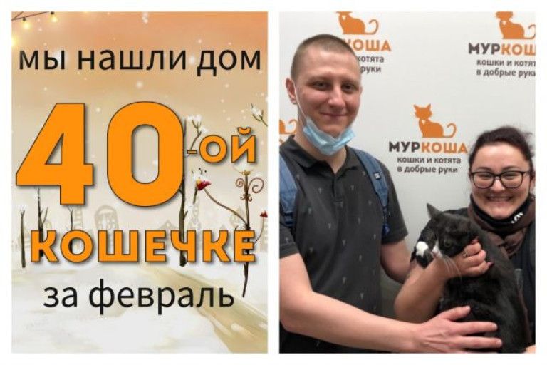 Кошечка Тиара стала домашней любимицей!