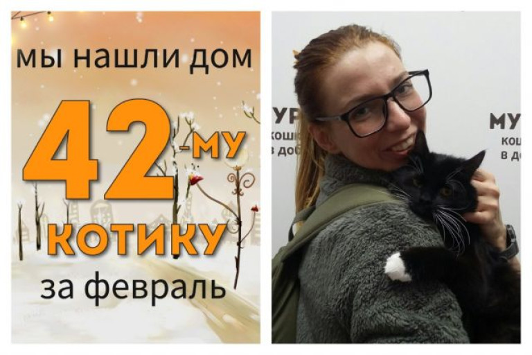 Ласковый Збышек стал домашним и любимым!