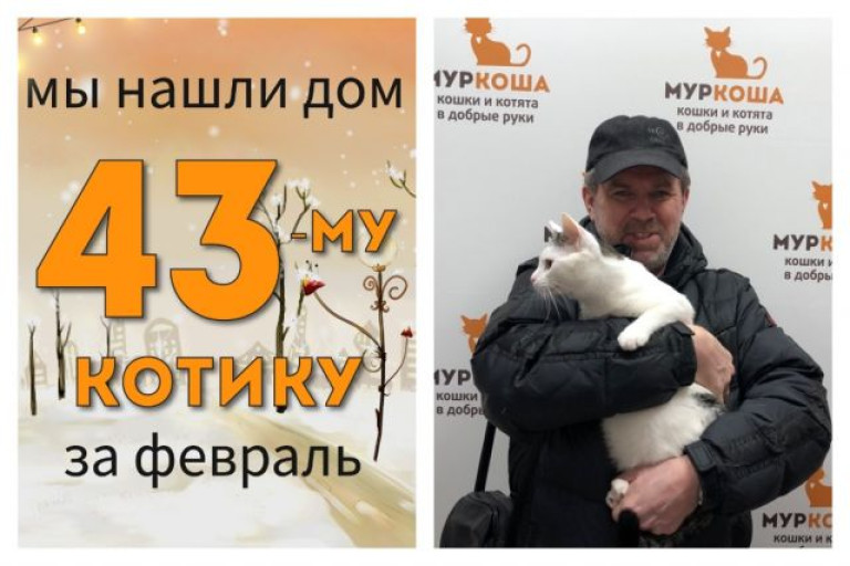 Котик Лёвушка встретил надежного хозяина!