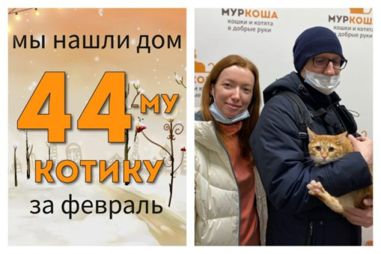 Годовалый котик Кускус поймал удачу за хвост!