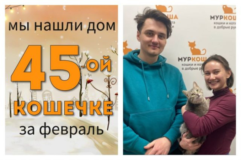 Кошечка Клава встретила заботливых хозяев!
