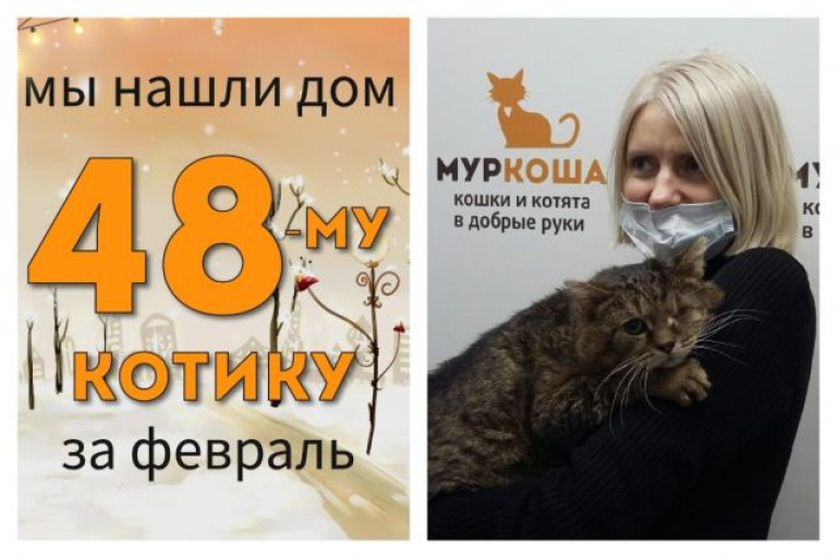 Котик Кушон отправляется в новый дом!