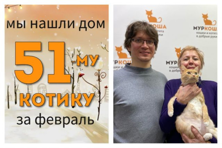 Кот Кремчик теперь домашний и счастливый!