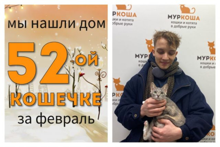 Юная Матата стала домашней кошечкой!