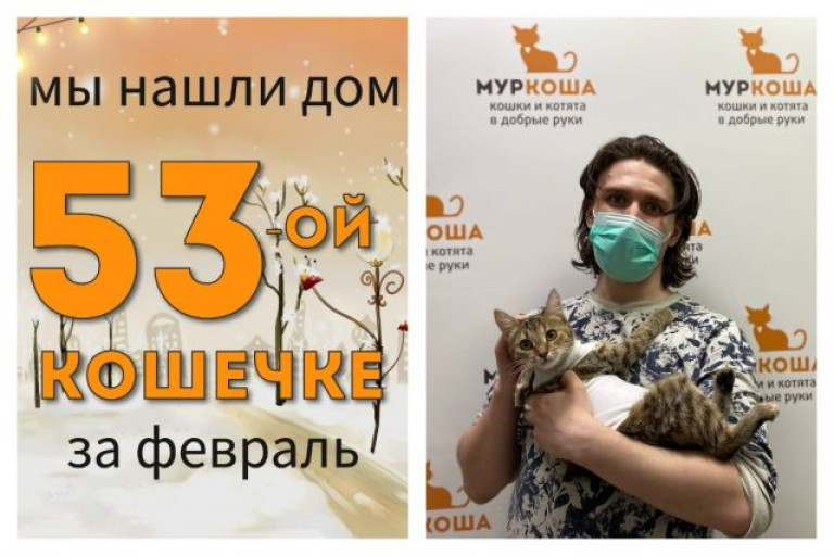 Милая Шерон начинает домашнюю жизнь!