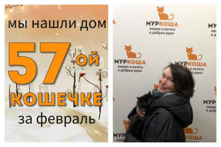 Котенок Спичка стала домашней!
