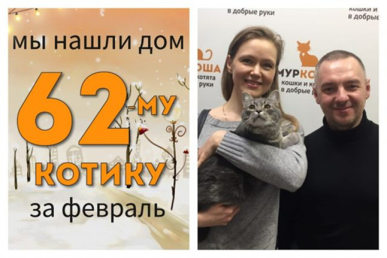 У котика Тостера теперь есть дом и семья!