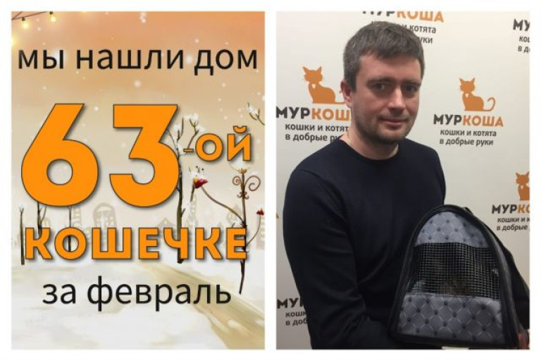 Милая Шубка стала домашней кошечкой!