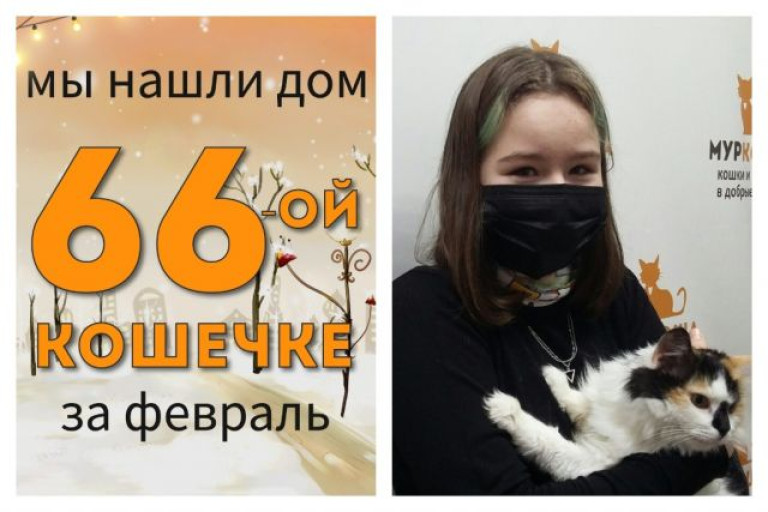 Красавица Лоция встретила надежную хозяйку!