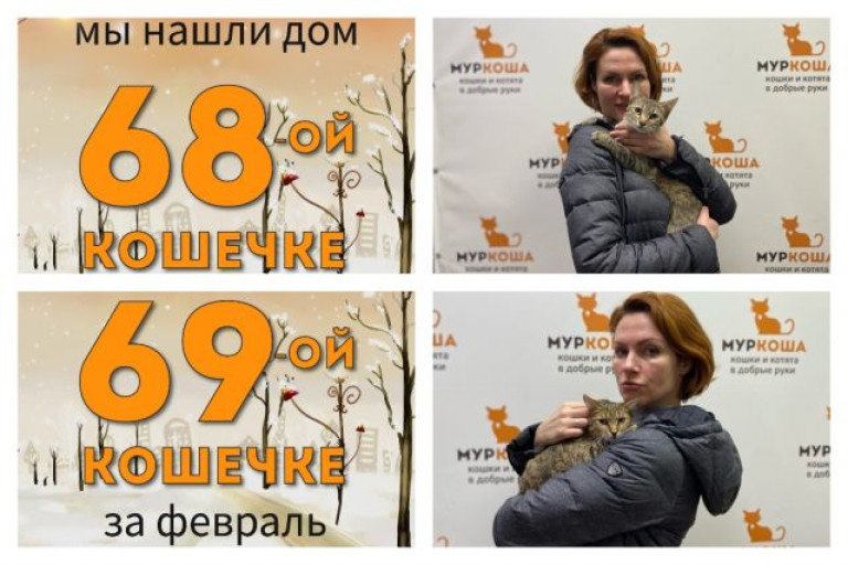 Кошечки Кариша и Власта рады познакомить со своей хозяйкой!
