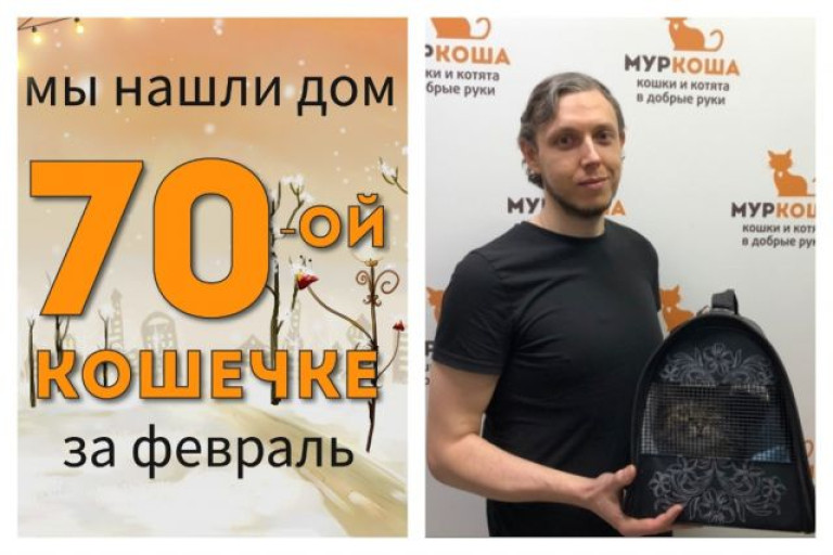 Восьмилетняя кошечка Настасья начинает жизнь с чистого листа!