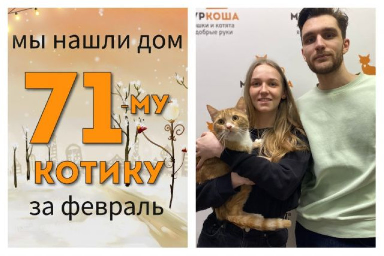 Котик Лойд отправился навстречу домашнему счастью!