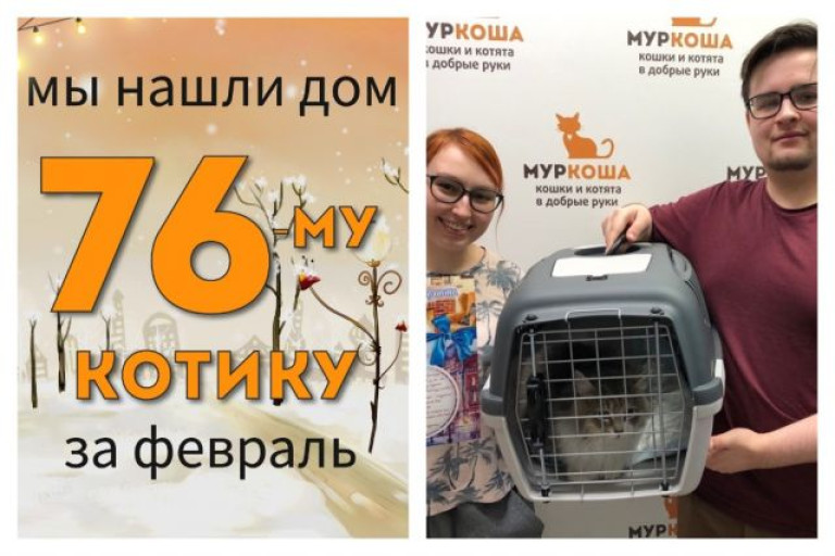 Пушистый Сугробчик стал домашним котиком!