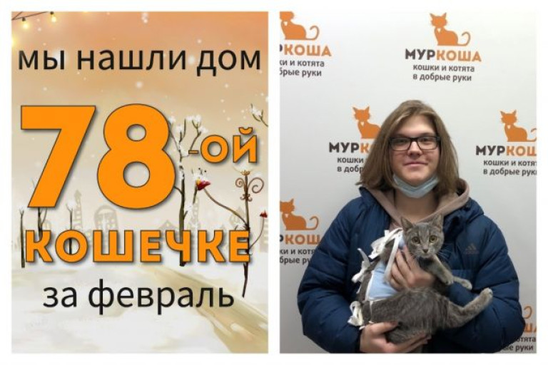 Кошечка Акуна стала домашней любимицей!