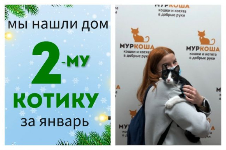 Котик Такуми начинает домашнюю жизнь!