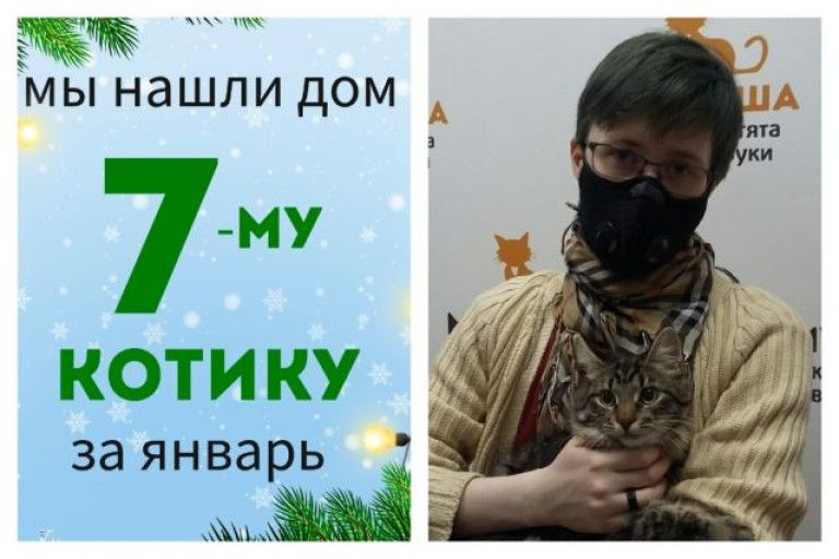 Восьмимесячный котенок Крит стал домашним!