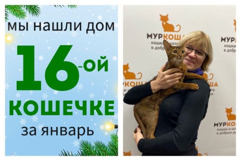 Кошечка Марьяша начинает жизнь с чистого листа!