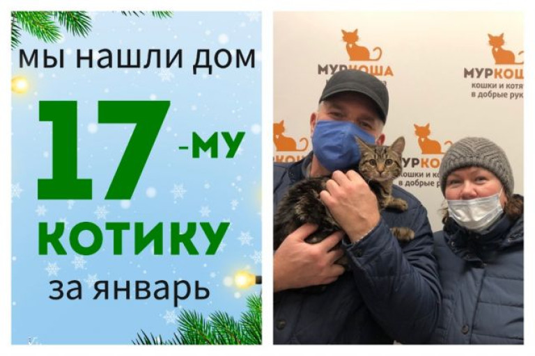 Котик Мирный уезжает в новый дом!