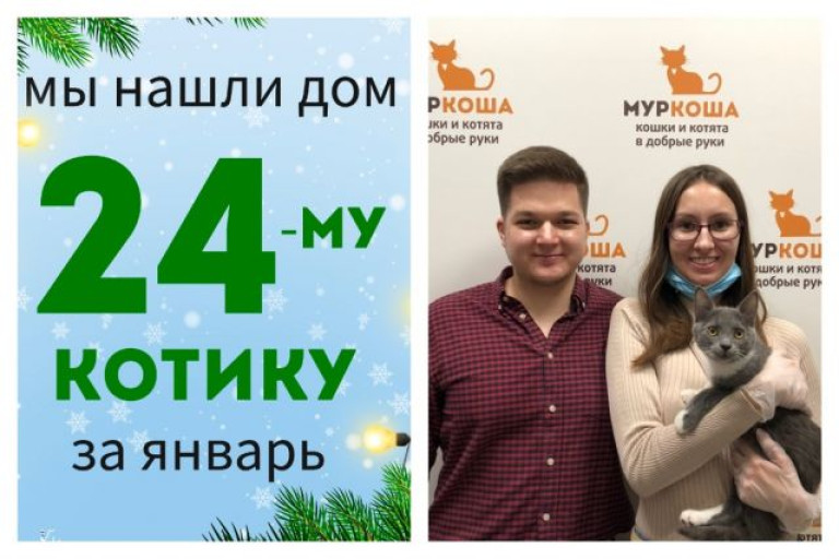 Котенок Волчонок нашел дом за три недели!