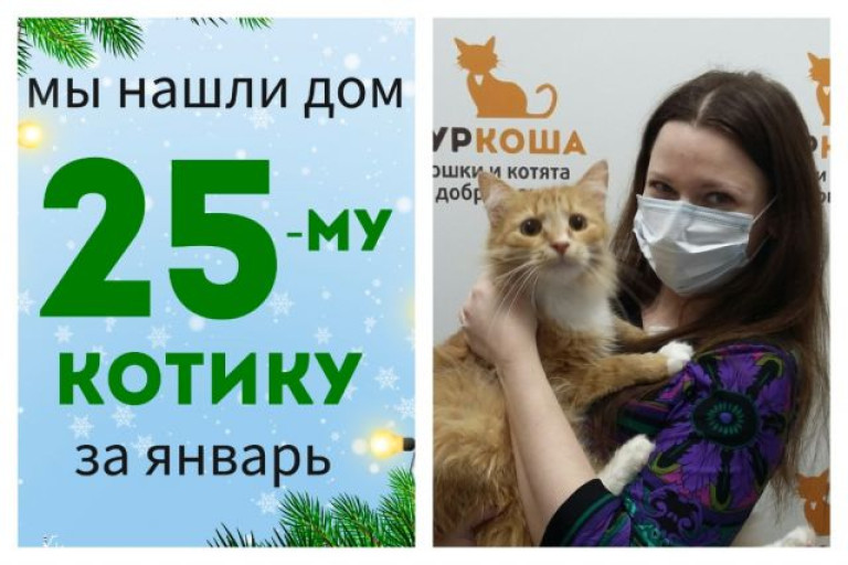 Котик Елисей снова стал домашним!