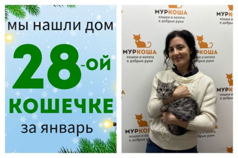 У кошечки Баунти начинается райская домашняя жизнь!