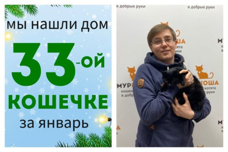 Кошечка Мурья стала домашней за один месяц!