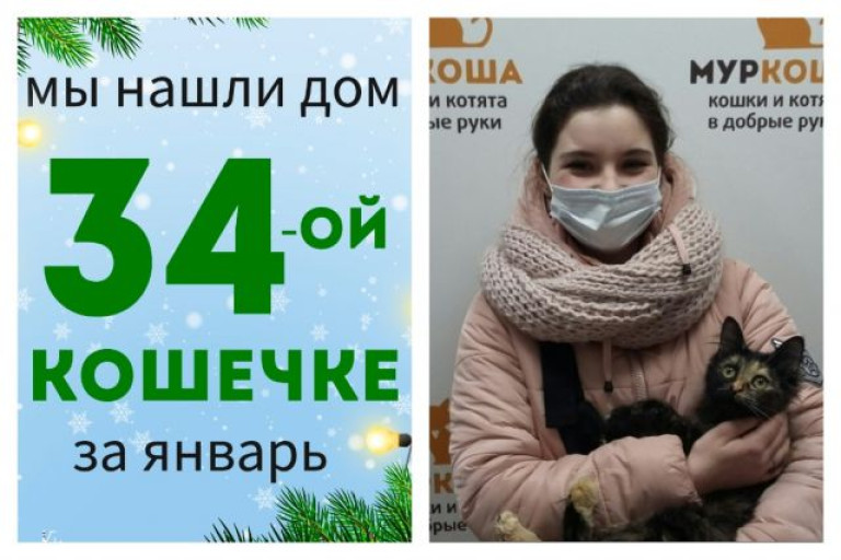 У кошечки Яники появилась любящая хозяйка!