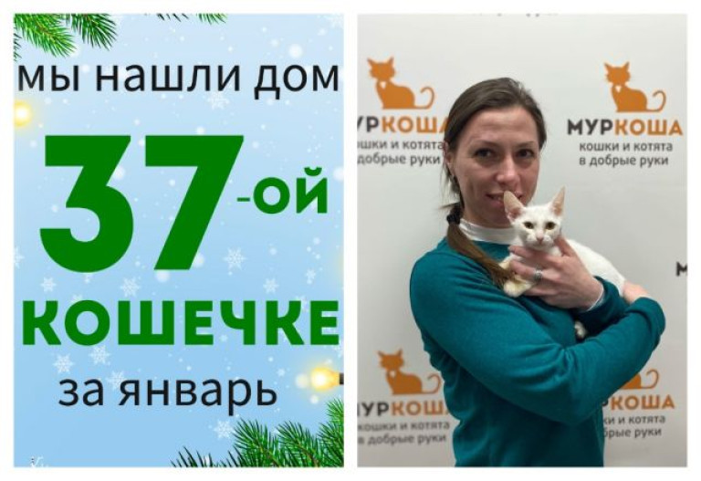 У кошечки Вьюши появилась заботливая хозяйка!
