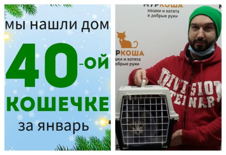Кошечка Мадлен стала домашней любимицей!