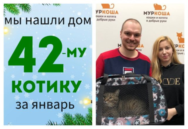 Котик Партизан уезжает в новый дом!