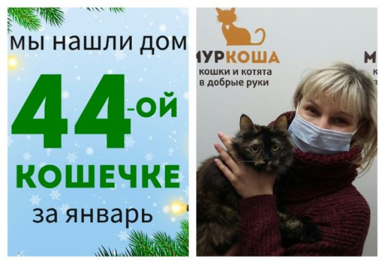 Милая Сюзи теперь домашняя кошечка!