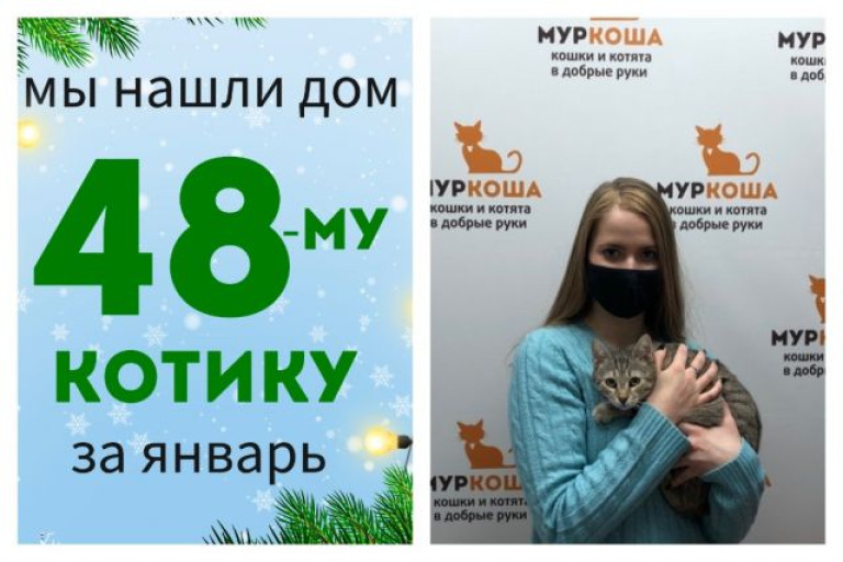 Котик Брют вытянул свой счастливый билет домой!