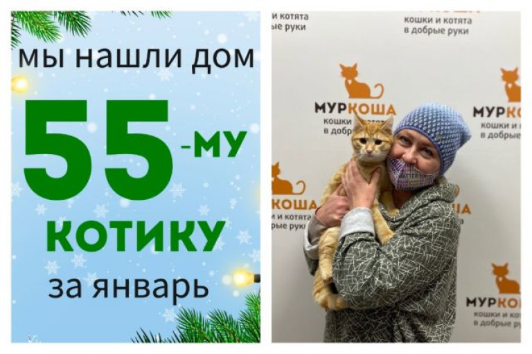 Котик Мямлик стал домашним и любимым!